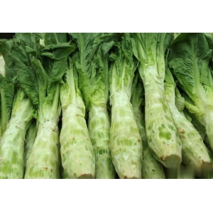 萵筍怎么才能高產(chǎn)？萵筍高產(chǎn)施肥技巧