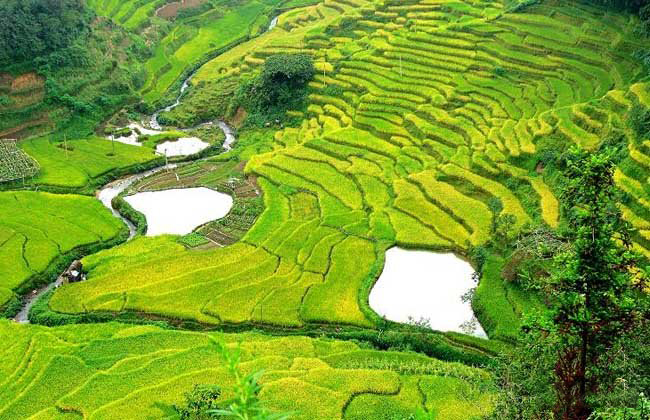 農(nóng)業(yè)土地改革新政策來了(圖2) 農(nóng)業(yè)土地改革新政策來了(圖2)