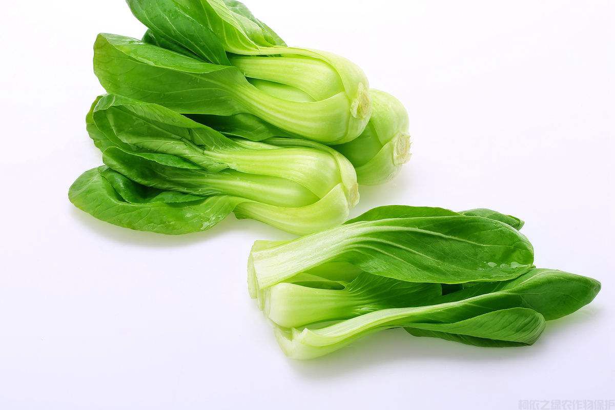 要怎么給油菜施肥才能增產(chǎn)？油菜施肥介紹(圖1)