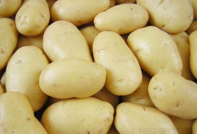 土豆怎么種植高產(chǎn)？土豆種植技巧(圖1)
