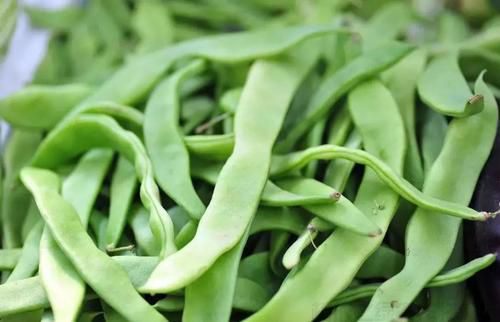 地膜春蕓豆種植技術(shù)大全(圖1)